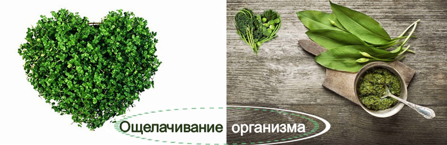 Организм атакует кислота