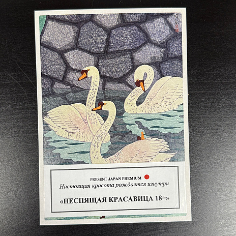 Подарочный бокс Неспящая красавица 18+